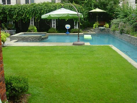 Backyard Pool House, Backyard Layout, Backyard Shade, Backyard Canopy, Backyard Oasis Ideas, Resort Style Pool, Modern Pools, Backyard Porch, Casa Exterior