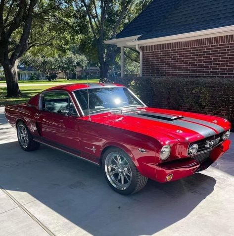 1966 Mustang Fastback, 66 Ford Mustang, Ford Mustang 1965, Mustang Girl, 1966 Mustang, 66 Mustang, Mustang Sally, 1965 Mustang, Old Vintage Cars