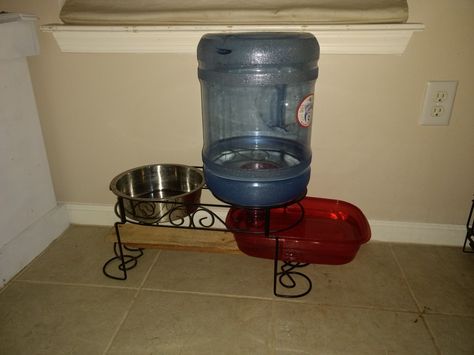 Dog Water Bowl Ideas, Dog Water Bowl, Dog Water Dispenser, Bowl Ideas, Dog Water Bowls, Dog Things, Dog Feeder, Water Bowl, Water Dispenser