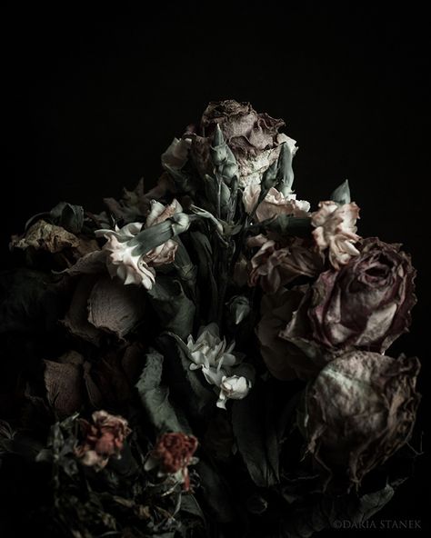 Decaying Flowers, Decay Art, Billy Kidd, Wilted Flowers, Dead Flowers, Growth And Decay, Dark Flowers, Hades And Persephone, High Fantasy