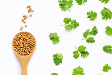 Photo coriander seeds with fresh leaves ... | Premium Photo #Freepik #photo #parsley #coriander-leaves #coriander #cilantro Loose Motion Home Remedies, Lemon Coriander Soup, Pomegranate Leaves, Cumin Water, Coriander Soup, Healthy Toast, Coriander Seed, Whole Grain Cereals, Digestive Juice