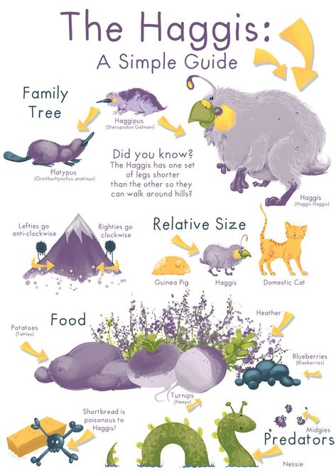 Haggis Infographic for Burns Night Haggis Animal, Robbie Burns Night, Burns Night Crafts, Burns Day, Burns Supper, Scottish Quotes, Scotland History, Free Printable Templates, Scotland Forever