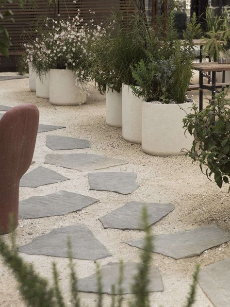 Au Naturel in Auckland: A Beachside Courtyard by Jared Lockhart Design - Gardenista Gravel Garden With Pots, Front Door Pots Plants Entrance Full Sun, Beachy Backyard Landscaping, Potted Garden Design, Budget Friendly Landscaping, Salvia Waverly, Carex Testacea, Kowhai Tree, Stone Walkways