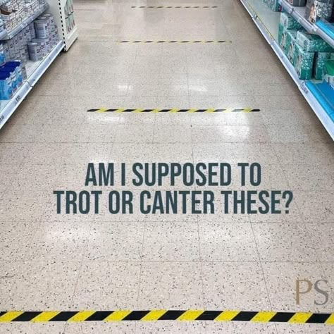 Am I supposed to trot or canter these? 🤣 #equestrian #equestrianstyle #equestrianproblems Equestrian Memes, Horse Quotes Funny, Horse Humor, Funny Horse Pictures, Funny Horse Videos, Horse Jokes, Horse Memes, Horse Riding Quotes, Equestrian Quotes