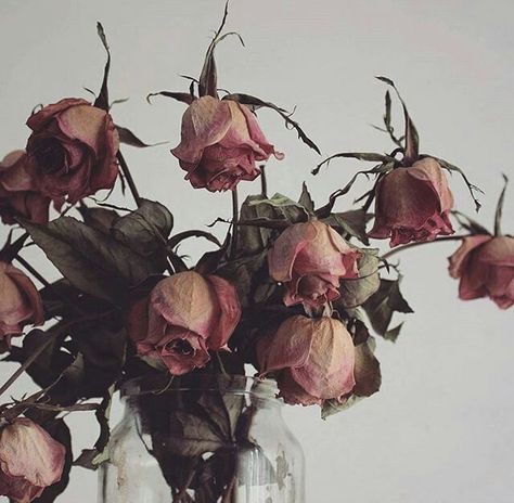 Wilted Flowers, Flowers Photography, Pretty Flowers, Dark Aesthetic, Dried Flowers, Art Inspo, Planting Flowers, Art Inspiration, Collage