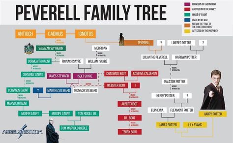 Peverell Family Tree Gaunt Family, Harry Potter Family Tree, Family Tree House, Weasley Wizard Wheezes, Malfoy Family, Hogwarts Alumni, Sims 4 Family, Lily Potter, Potter Facts