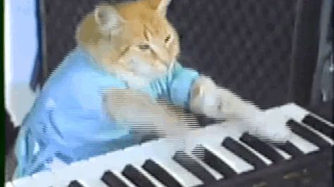 Click to watch the video and the fun convo of the 9GAG community Obey The Walrus, Meme Keyboard, Princess Monster Truck, I Feel Fantastic, Keyboard Cat, Street Cat Bob, Internet Nostalgia, Cats Reading, Cat Traps