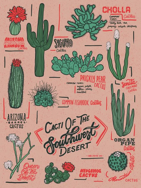 Cacti Of The Southwest :: Behance Cactus Illustration Art, Western Art Ideas, Cactus Illustration Design, Southwest Aesthetic, Astros Jacket, Cacti Art, Desert Illustration, Southwest Pattern, Illustrated Poster