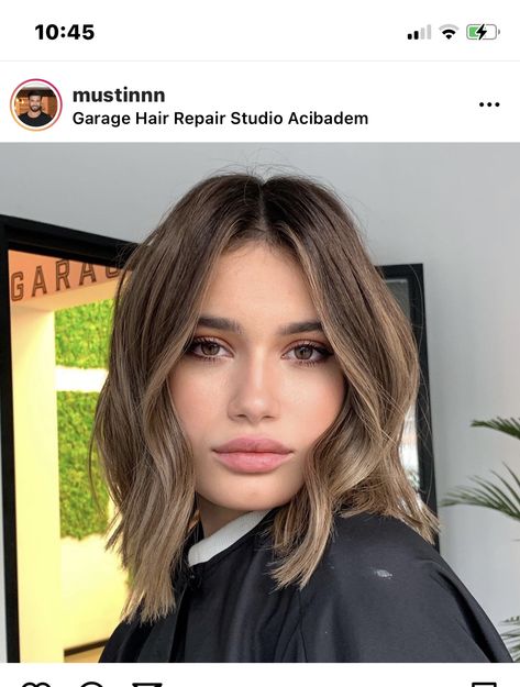 Just Above Shoulder Length Hair Haircuts, Blonde To Natural Color Before And After, Brown Hair Balyage, Brunette Hair Pale Skin, Short Light Brown Hair, Short Brunette Hair, Hair Pale Skin, Dip Dye Hair, Brown Hair Inspo