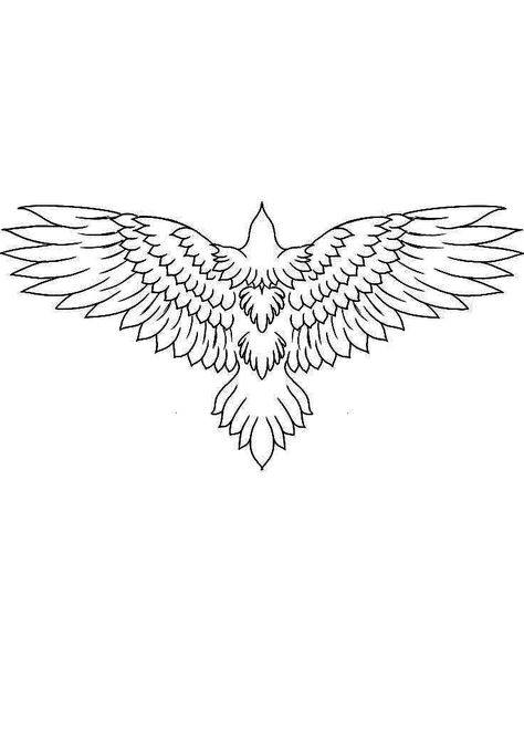 Hawk Tattoo Stencil, Hawk Outline, Eagle Line Drawing, Eagle Outline, Bird Stencils, Eagle Head Tattoo, Pegasus Tattoo, Traditional Eagle Tattoo, Tattoos Masculinas