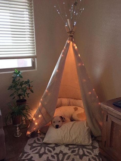 Doggy teepee Dog Bedroom Decor, Teepee Dog Bed, Dog Teepee, Dog Bedroom, Diy Pet Bed, Pet Teepee, Small Castles, Dog Room, Dog House Diy