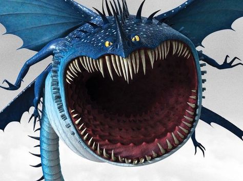 I got: Thunderdrum! Which How To Train Your Dragon is Meant For You? Httyd Thunderdrum, Thunderdrum Dragon, Dragon Icon, Dragon Fire, Dreamworks Movies, Dreamworks Dragons, Httyd Dragons, Dragon Party, Dragon King