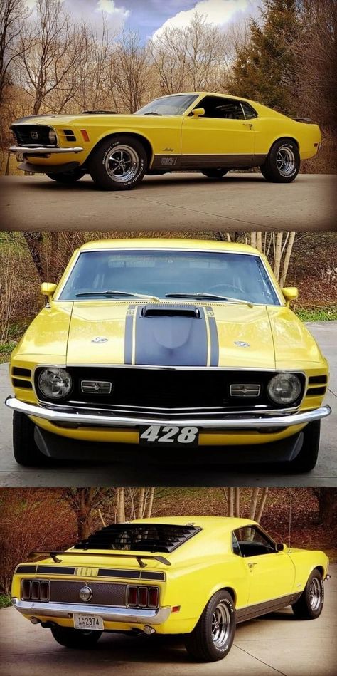 1970 Ford Mustang Mach 1, 1970 Mach 1 Mustang, 1970 Mustang Fastback, Old Muscle Cars Wallpaper, Cars Wallpaper Iphone, Muscle Cars Wallpaper, 1970 Mustang Mach 1, Bugatti Centodieci, 1970 Mustang