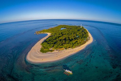 Coral Reef Project, Apo Island, Philippine Travel, Beautiful Philippines, Best Summer Vacations, Siargao Island, Life At The Beach, Dumaguete, Mindoro