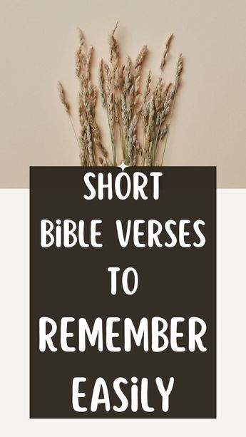 List of short bible verses that are easy to remember. Bible Short Verse, Short Bible Verses About Happiness, Happy Bible Verses, Crazy Sayings, Bible Verses About Nature, Bible Memorization, Short Scriptures, Verse Memorization, Top Bible Verses