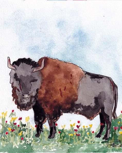 Original watercolor art by Roslan Fichtner. Buffalo art. Watercolor art. Wildlife art. Western art Western Watercolor, Watercolor Buffalo, Bison Art, Buffalo Art, Western Artwork, Painting Spring, Western Paintings, Western Artist, Original Watercolor Art