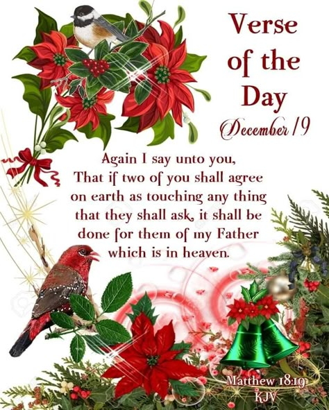 #19557 #December19 2020 #Matthew 18:19 KJV #Christmas #DailyBlessing www.facebook.com/Judiann.F Thanksgiving Prayers For Family, December Blessings, Hello December Images, December Scriptures, Advent Scripture, Daily Morning Prayer, December Quotes, Christmas Scripture, Christmas Bible Verses