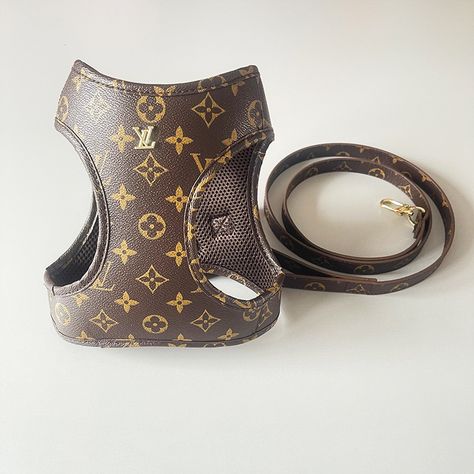 Lv Dog Collar, Louis Vuitton Dog Collar, Louis Vuitton Dog Carrier, Luxury Dog Accessories, Designer Dog Harness, Leather Dog Harness, Cute Dog Harness, Dog Accesories, Dog Collar Charms