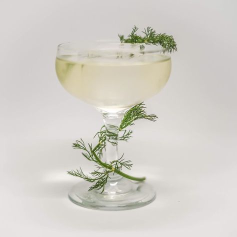 Giulio Cocchi OFFICIAL on Instagram: “Repost • @papa_reeky Vera’s Ruin  40ml Ketel One Vodka 20ml Jawbox Gin 7.5ml Cocchi Americano  10ml Cucumber Pickle Brine  Garnish: Dill…” Gin Garnish, Pickle Brine, Ketel One Vodka, Ketel One, Cocktail Garnish, Instagram Repost, Pickles, Gin, Cucumber