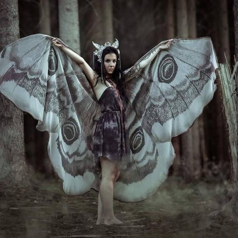 Moth wings costume butterfly cape fairy wings festival | Etsy Brasil Moth Costume, Butterfly Shawl, Fairy Wings Costume, Lady Butterfly, Moth Wings, Chiffon Wrap, Largest Butterfly, Wings Costume, Beach Cover Ups