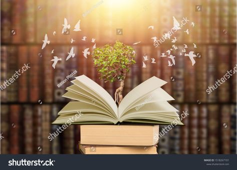 Education concept The growth of knowledge is represented by pictures of trees on the books, with birds flying around on that book. Is to lead the future of success images photo royalty free image photo Book Images Pictures, Growth Background, Pictures Of Trees, Motivation Books, Success Images, Picture Tree, Motivational Books, Good Motivation, Book Images