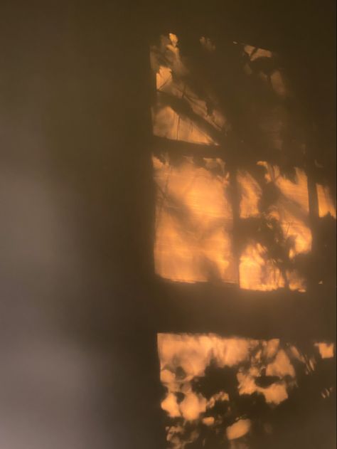 Sun Reflection On Wall, Shadows On The Wall, Shadows And Reflections, Instagram Ideas Post Photos, Sunlight On Wall, Fall Film Photography, Sun On Wall, Sun Through Window, Light And Shadow Painting