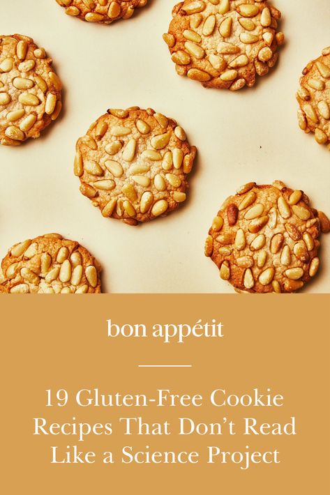 Gluten Free Butterscotch Cookies, Gf Holiday Cookies, Gluten Free Christmas Cookie Bars, Gluten Free Chai Cookies, Gluten Free Slice And Bake Cookies, Best Gluten Free Christmas Cookies, Gf Cookies Recipes, Gluten Dairy Free Cookies, Gluten Free Cookies Recipe