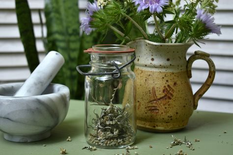 Learn about tools and resources for setting up your home apothecary. An herbalist's start up guide for beginner home herbalists! Herbalist Tools, Apothecary Tools, Herbalism Apothecary, Magic Apothecary, Vintage Bottles Antiques, Apothecary Ideas, Visualization Meditation, Herbal Steam, Home Apothecary