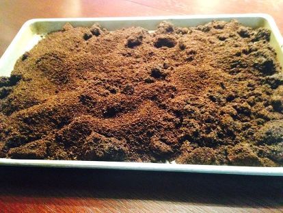 leftover coffee grounds, container gardening, gardening, repurposing upcycling Leftover Coffee Grounds, Leftover Coffee, Uses For Coffee Grounds, Beautiful Coffee, Coffee Grounds, Dream Garden, Garden And Yard, Organic Gardening, Green Thumb