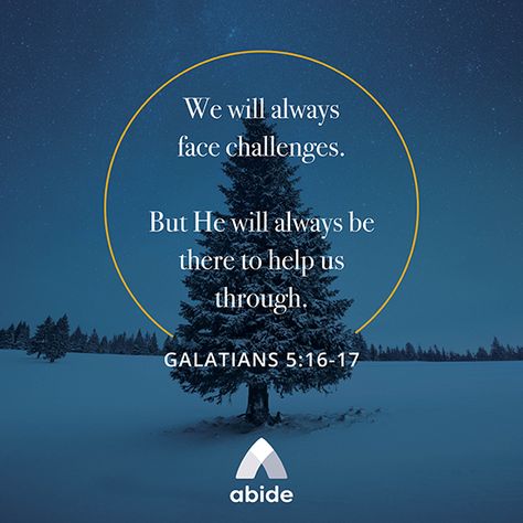 Galatians 5 16, Bible Verses Kjv, Bible Verse Background, Scripture Pictures, Bible Knowledge, God Almighty, Verse Of The Day, Scripture Quotes, Verse Quotes