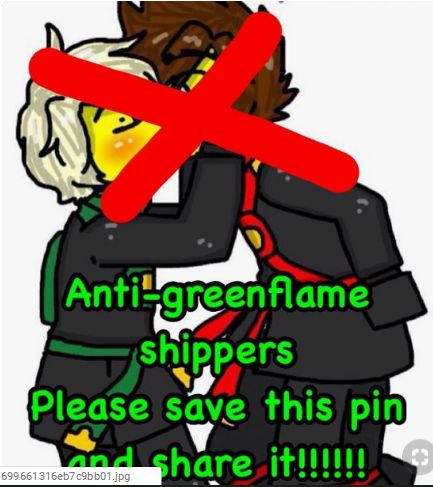 Greenflame Ninjago, Ninjago Cole, Ninjago Art, Ninjago Memes, Ninjago Kai, Silly Pictures, Art Memes, U Can, Lego Ninjago