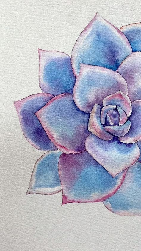 Watercolor Cool Ideas, Watercolour Succulents Simple, Watercolor Art Succulents, Watercolor Paintings Colorful, Succulent Painting Ideas, Watercolor Succulent Paintings, Aquarelle For Beginners, Watercolor Succulents Easy, How To Draw Succulents