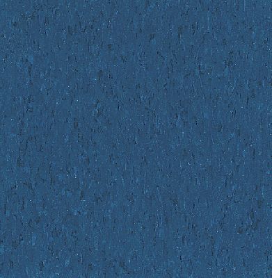 Gentian Blue: 51946 is part of the Standard Excelon Imperial Texture VCT line from Armstrong Flooring - Commercial. View specs & download a sample. Vct Tile, Armstrong Flooring, Vinyl Tile Flooring, Resilient Flooring, Dusty Miller, Vinyl Tiles, Peel And Stick Tile, Blue Vinyl, Commercial Flooring