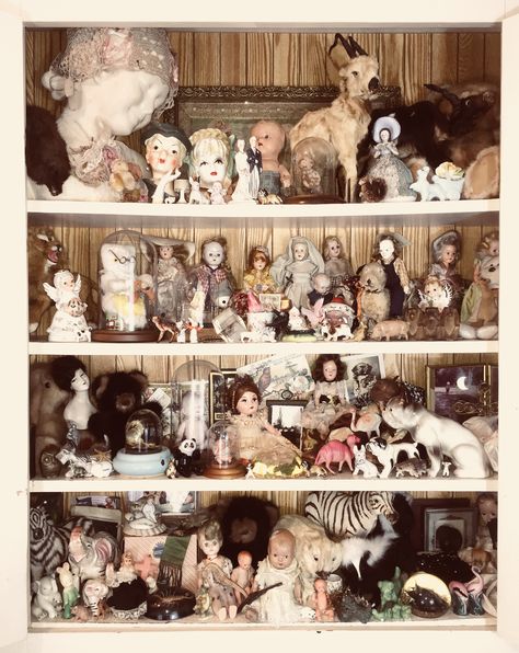 Oddities And Curiosities Drawings, Antique Doll Display Ideas, Antique Dolls Aesthetic, Old Dolls Vintage Creepy, Creepy Dollhouse Aesthetic, Antique Clown Doll, Old Dolls Vintage, Doll Collection Display, Antique Figurines