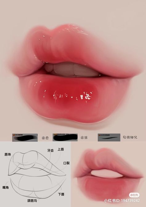 Digital Art Tutorial Beginner, الفن الرقمي, Lip Drawing, Mouth Drawing, Digital Art Beginner, Lips Drawing, Art Tools Drawing, Sketches Tutorial, Poses References