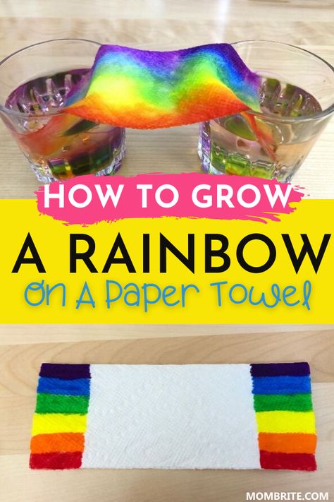 Paper Towel Experiment, Grow A Rainbow, Science For Toddlers, Summer Calendar, Rainbow Activities, April Crafts, Preschool Science Activities, Science Experiments For Preschoolers, March Activities