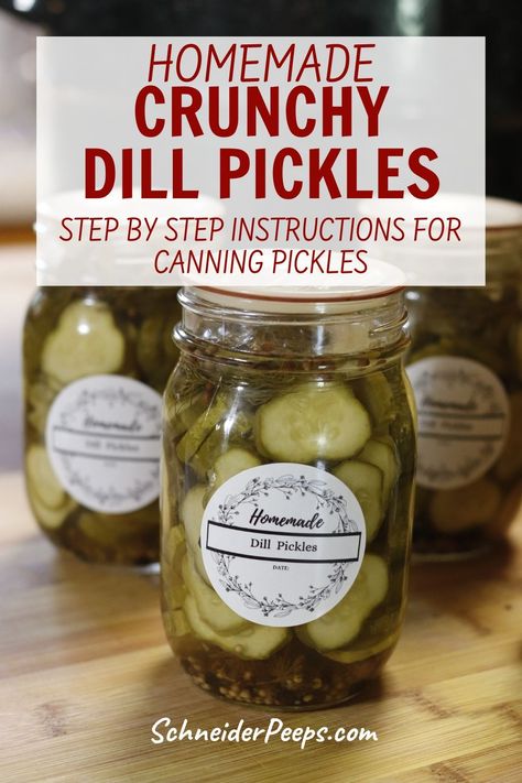 Learn how to can your own delicious dill pickles with our easy-to-follow recipe! Crunchy cucumbers, aromatic dill, and tangy brine combine for homemade perfection. Preserve the flavors of summer with this canning favorite Crunchy Pickles Canning, Crisp Dill Pickle Canning Recipe, Crunchy Dill Pickle Recipe, Crispy Dill Pickle Recipe, Crispy Dill Pickles, Crunchy Dill Pickles, Canning Pickles Recipe, Pickles Canning, Pickles Homemade