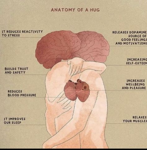 Basic Anatomy And Physiology, Fun Facts About Life, Biology Facts, Need A Hug, Medical Knowledge, Health Knowledge, Anatomy And Physiology, Mental And Emotional Health, A Hug