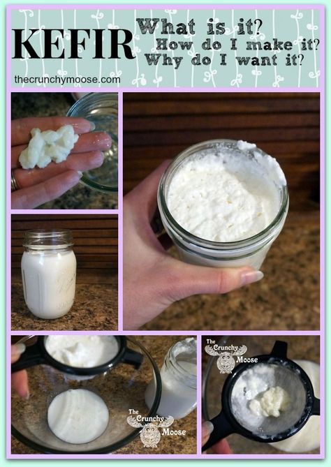 How to make kefir and what is kefir - http://thecrunchymoose.com Kiefer Recipes, Keifer Recipes, What Is Kefir, Kefir Yogurt, Fermented Milk, Kefir Recipes, Kefir Grains, Milk Kefir, Fermented Drink