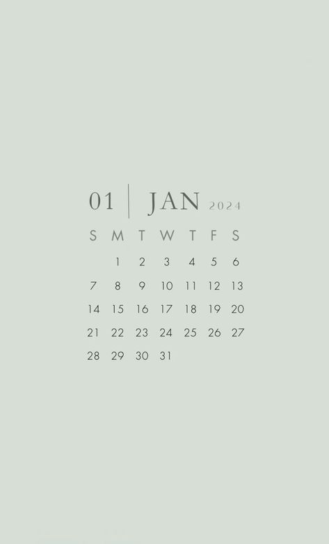 New Year 2024 Aesthetic Wallpaper, Calender Aesthetic January 2024, Iphone Wallpaper Aesthetic 2024, 2024 Vision Board Wallpaper Ipad, January 2024 Calendar Wallpaper Iphone, New Years Wallpaper Iphone 2024, January Ipad Wallpaper Aesthetic, Calender 2024 January, Jan 2024 Calendar