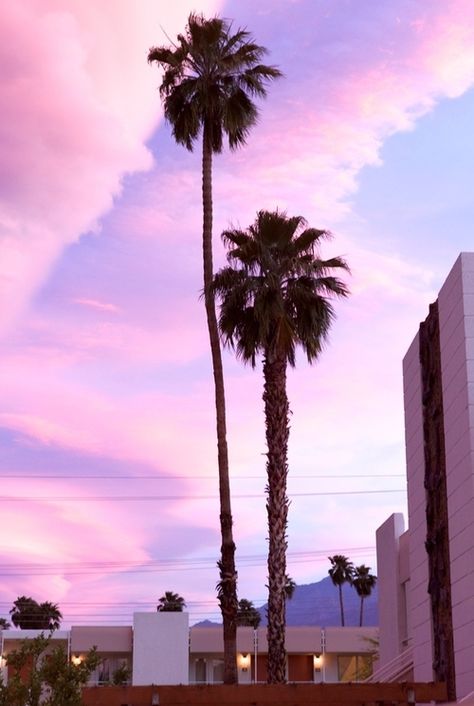 Tumblr Best Friends, Iphone Beauty, Palm Tree Sunset, New Retro Wave, California Dreaming, Photography Wallpaper, Pink Sky, Venice Beach, Summer Pictures