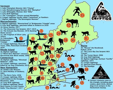 Bridgewater Triangle, Dover Demon, Lake Monsters, Bigfoot Sightings, Myths & Monsters, Alien Encounters, Sea Serpent, Lake Champlain, Paranormal Investigation