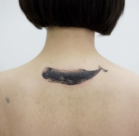 Black and gray sperm whale tattoo on back of neck/upper back Whales Tail Tattoo, Minke Whale Tattoo, Right Whale Tattoo, Unique Whale Tattoo, Sperm Whale Tattoo, Whale Tattoo, Whale Tattoos, Sperm Whale, B Tattoo