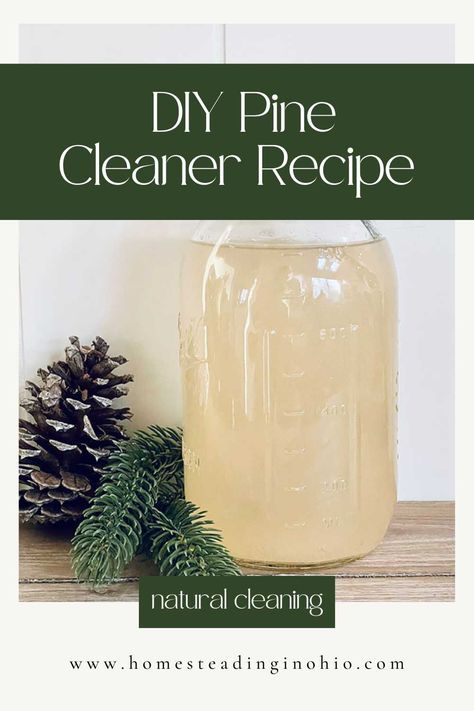 Diy Natural Pine Cleaner, White Pine Needles, Diy Pine Oil, Pine Vinegar Cleaner, Diy Pine Needle Cleaner, Diy Pine Sol, Diy Pine Sol Cleaner, Homemade Pinesol Cleaner, Homemade Pine Cleaner