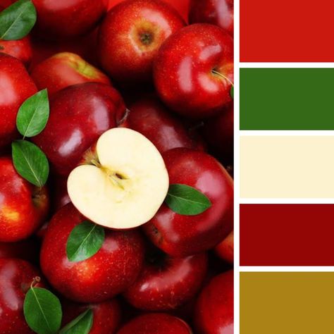 Onion Color Palette, Apple Colour Palette, Apple Orchard Color Palette, Apple Color Palette, Red Delicious Apples, Create Color Palette, Yarn Color Combinations, Pastel Color Schemes, Apple Coloring