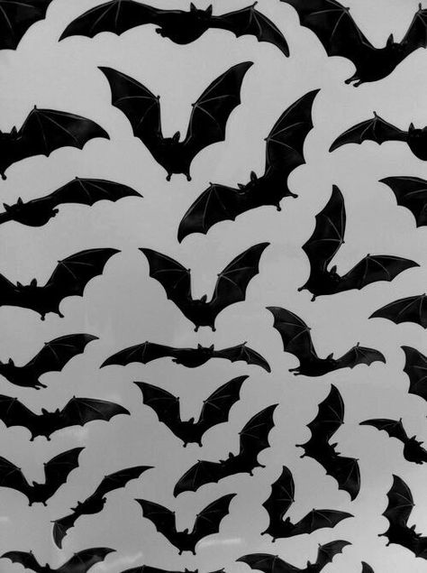 Image de bats, wallpaper, and background Gijinka Pokemon, Bats Flying, Tumblr Hipster, Whatsapp Wallpaper, Halloween Backgrounds, Halloween Wallpaper, Pastel Goth, Iphone Background, Gotham