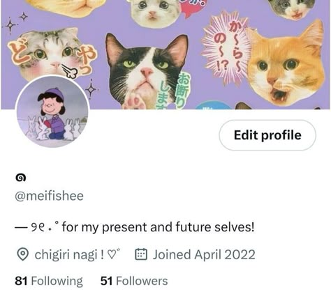 Twitter Account Aesthetic, Instagram Profile Layout, Twitter Account Ideas, Twitter Layout Ideas, Twitter Bio Ideas, Ig Profile Ideas, Bio Twitter, Layouts Twitter, Twt Layout