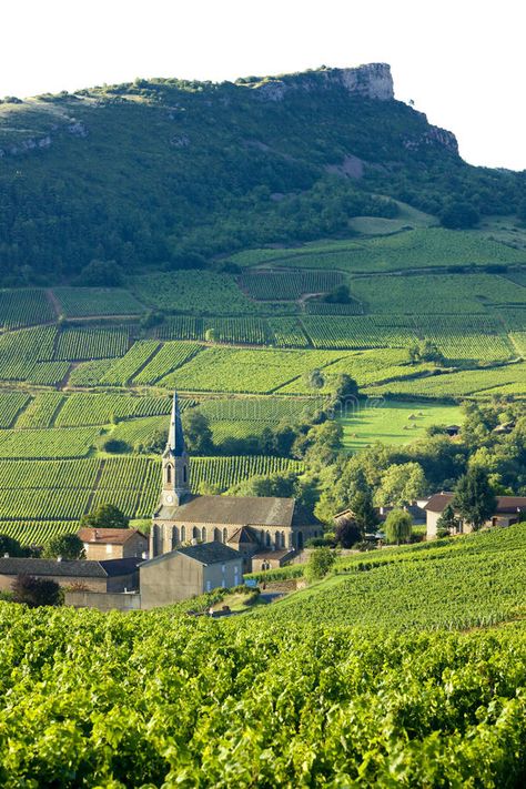 Vergisson. With vineyards, Burgundy, France #Sponsored , #Ad, #Sponsored, #Vergisson, #Burgundy, #France, #vineyards Country Architecture, Burgundy France, Free Stock Photos, Photo Image, Royalty Free Stock Photos, Stock Photos, Technology, France, Architecture