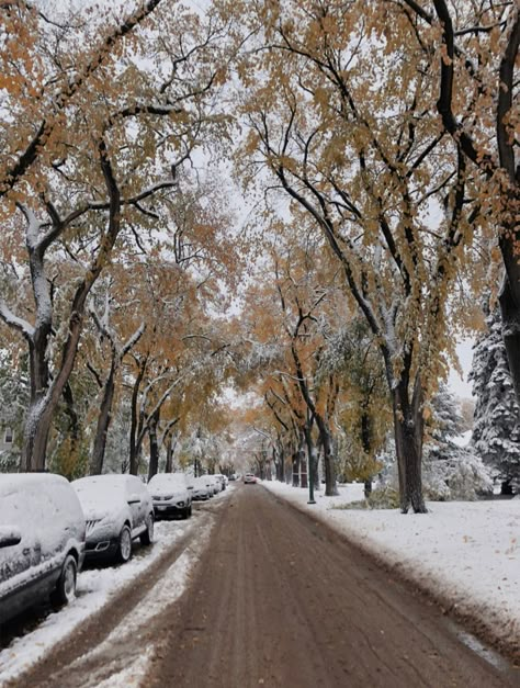 Evermore Winter, November Mood Board, Winter Christmas Decorations, Autumn Books, Europe Nature, November Mood, Countryside Aesthetic, November Aesthetic, I Smell Snow