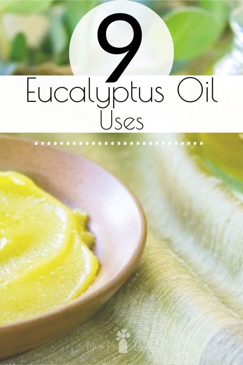 What is eucalyptus oil good for? Check out these Eucalyptus oil uses, including practical ideas, tips and recipes to get the most out of this helpful essential oil. #essentialoils #essential oiluses #eucalyptus #eucalyptusoiluses #eucalyptusessentialoil Eucalyptus Oil For Cough, Eucalyptus Essential Oil Uses, Eucalyptus Oil Benefits, Eucalyptus Oil Uses, Lavender Oil For Skin, Oil For Cough, Oils For Sinus, Healing Salve, Essential Oils For Pain